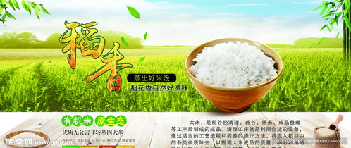 有机米原生态非转基因绿色食品图设计图