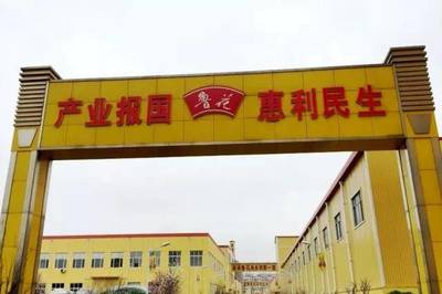 解密鲁花集团19年抒写的文化家书