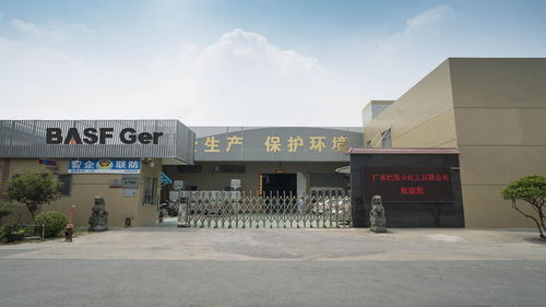 德国 巴斯夫漆中国 巴斯夫广州,上海厂家介绍
