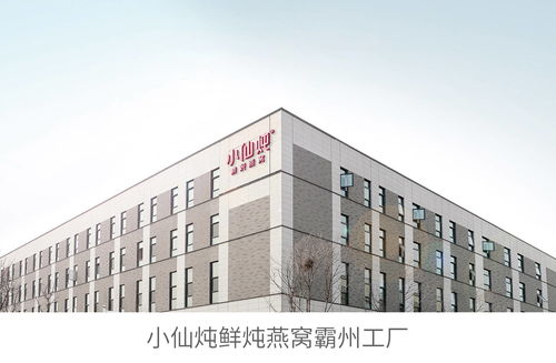 以高质量发展撬动行业革新,拆解小仙炖品牌高效成长密码