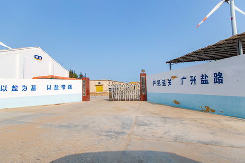 辽宁盘锦辽河经典啤酒,酒水饮料,食品餐饮,摄影素材,汇图网
